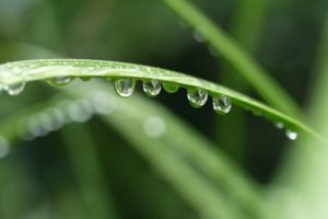 雨の種類や呼び方を知ろう！天気予報の用語や昔から使われている雨の名前を紹介
