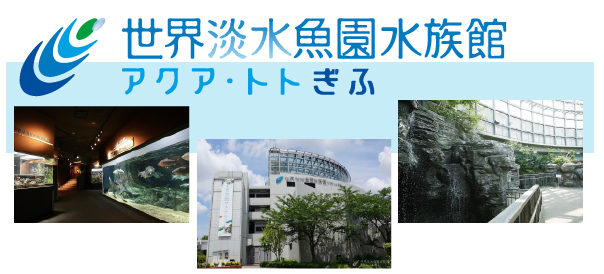 東海版 雨の日でも楽しめるおすすめのお出かけスポットを紹介 プロが語る雨漏り対策とは 台風 ゲリラ豪雨に備えよう